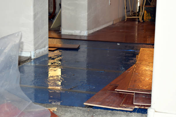 Professional Sewage Cleanup technician working in Georgetown, TX